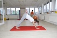 Yoga downward-facing dog - Adho mukha śvānāsana